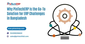 Solution for ERP Challenges in Bangladesh